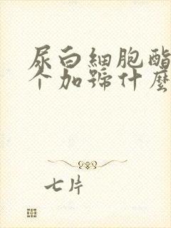 尿白细胞酯酶1个加号什么意思