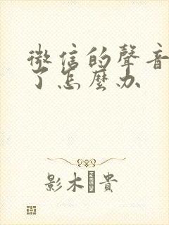 微信的声音没有了怎么办