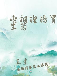 吃调理肠胃的益生菌