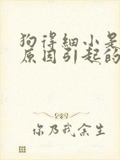 狗得细小是什么原因引起的