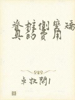 脊椎侧弯矫正支具的费用