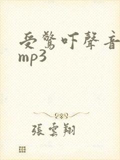 受惊吓声音音效mp3