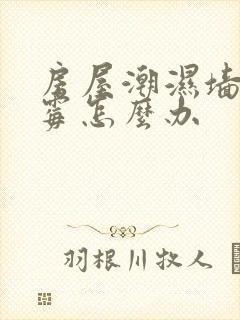 房屋潮湿墙壁发霉怎么办