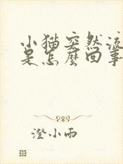 小猫突然流眼泪是怎么回事