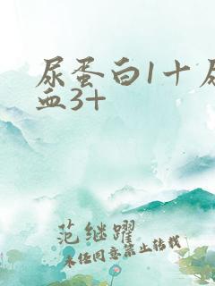 尿蛋白1十尿潜血3+