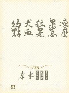 幼犬拉果冻状有点血是怎么了