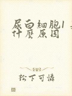 尿白细胞1 是什么原因