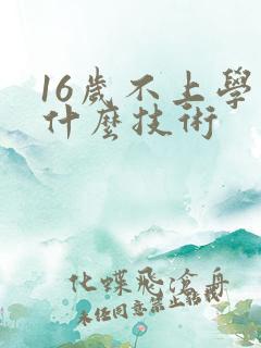16岁不上学学什么技术