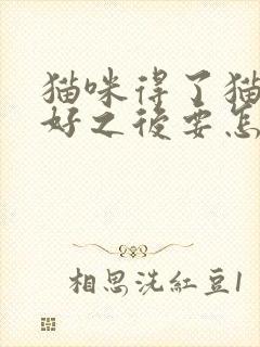 猫咪得了猫瘟治好之后要怎么办