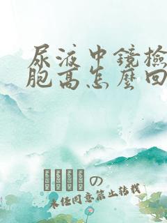 尿液中镜检白细胞高怎么回事