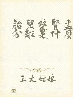 胎儿双肾盂未见分离是什么意思