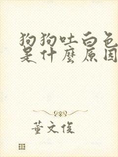 狗狗吐白色粘液是什么原因