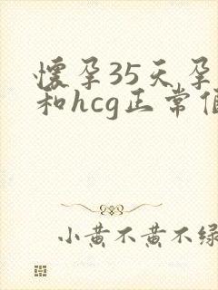 怀孕35天孕酮和hcg正常值参考范围