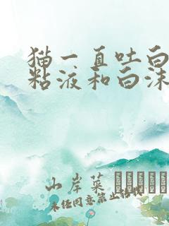 猫一直吐白色的粘液和白沫