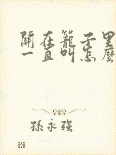 关在笼子里的猫一直叫怎么办