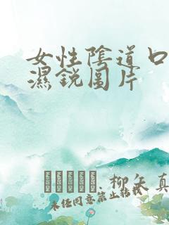 女性阴道口尖疣湿锐图片