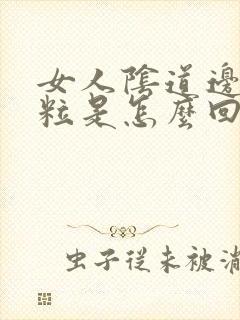 女人阴道边有颗粒是怎么回事