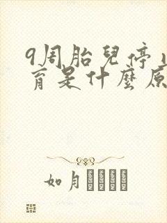 9周胎儿停止发育是什么原因