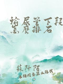 输尿管下段结石怎么排石