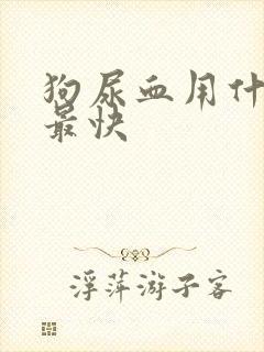 狗尿血用什么药最快