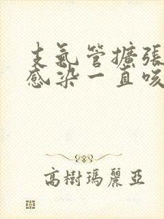 支气管扩张合并感染一直咳嗽怎么办