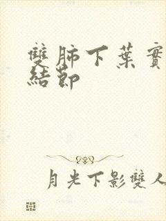 双肺下叶实性小结节