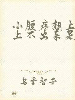 小腹疼想上大便上不出来是怎么回事