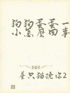 狗狗蛋蛋一大一小怎么回事