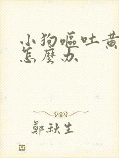 小狗呕吐黄水了怎么办