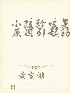 小孩干咳是什么原因引起的