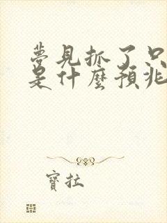 梦见抓了只兔子是什么预兆