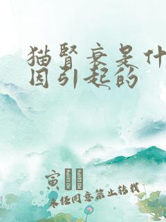 猫肾衰是什么原因引起的