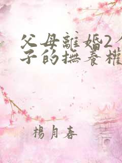 父母离婚2个孩子的抚养权怎么判定