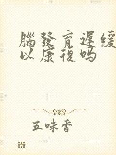 脑发育迟缓儿可以康复吗