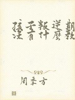 孩子叛逆期,有没有什么教育机构可管