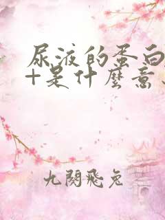 尿液的蛋白质1+是什么意思,严重吗