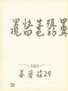 男性生殖里面出现白色的异物是什么情况