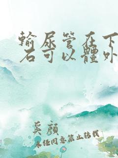 输尿管在下段结石可以体外碎石吗