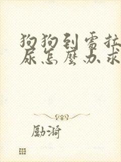 狗狗到处拉屎拉尿怎么办求解