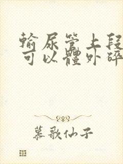 输尿管上段结石可以体外碎石13mm×6mm