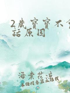 2岁宝宝不会说话原因