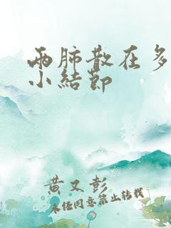 两肺散在多枚微小结节