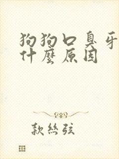 狗狗口臭牙黄是什么原因