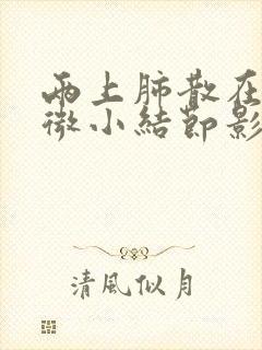 两上肺散在多发微小结节影