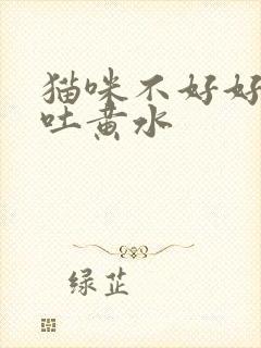 猫咪不好好吃饭吐黄水