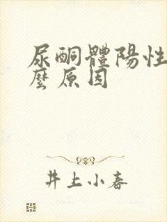 尿酮体阳性是什么原因