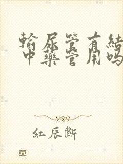 输尿管有结石吃中药管用吗