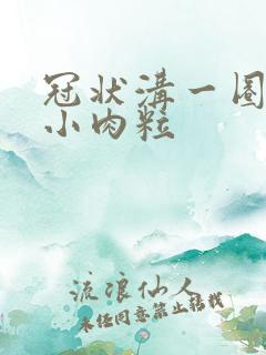 冠状沟一圈长有小肉粒