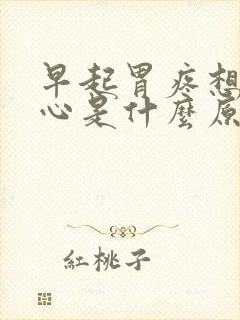 早起胃疼想吐恶心是什么原因