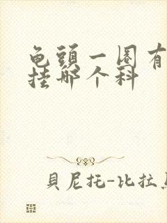 龟头一圈有红斑挂哪个科